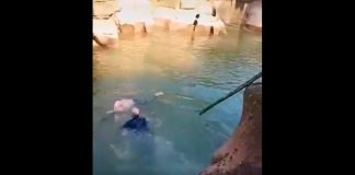 (Viral) De cónsul a héroe: británico salva a joven de morir ahogado en China