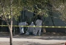 Abandonan bebé sin vida en un parque de García