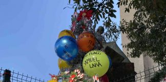Con pino navideño, hacen homenaje a familiares desaparecidos