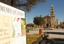 Se registra sismo de magnitud 3.6 en Linares