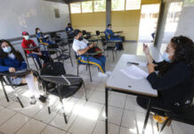 regreso presencial a clases amlo