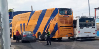 tigres autobus