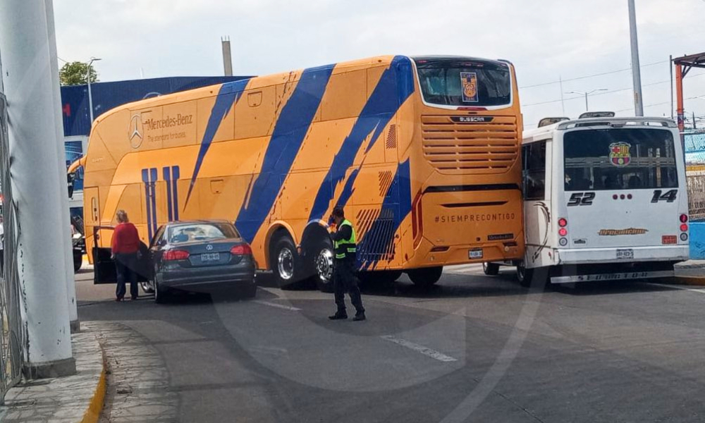 tigres autobus