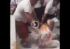 video de hombre pizza chihuahua