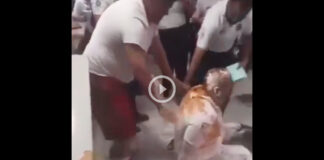 video de hombre pizza chihuahua