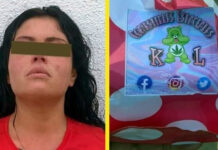 brownies marihuana monterrey nuevo leon