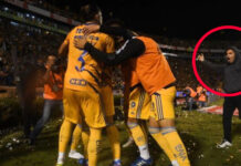 aviso de veto tigres