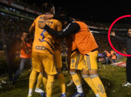 aviso de veto tigres