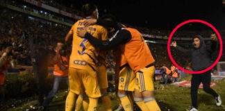 aviso de veto tigres