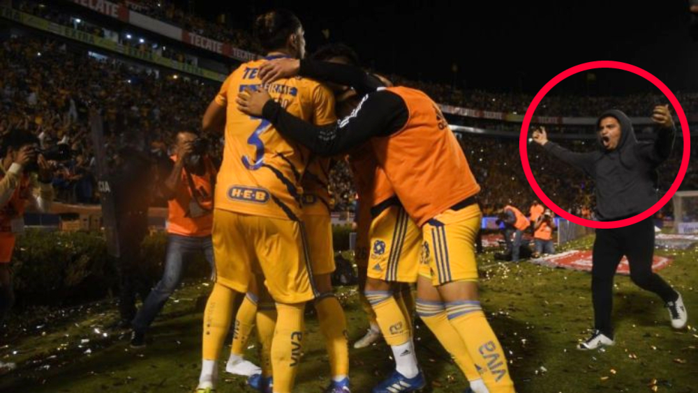 aviso de veto tigres